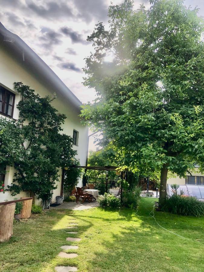 Pokoje V Chalupe Pod Milesovkou Velemin المظهر الخارجي الصورة